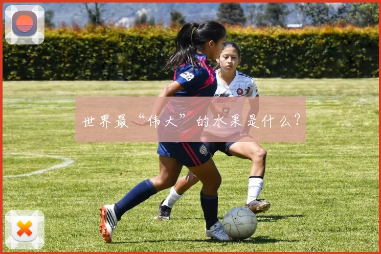 世界最“伟大”的水果是什么？