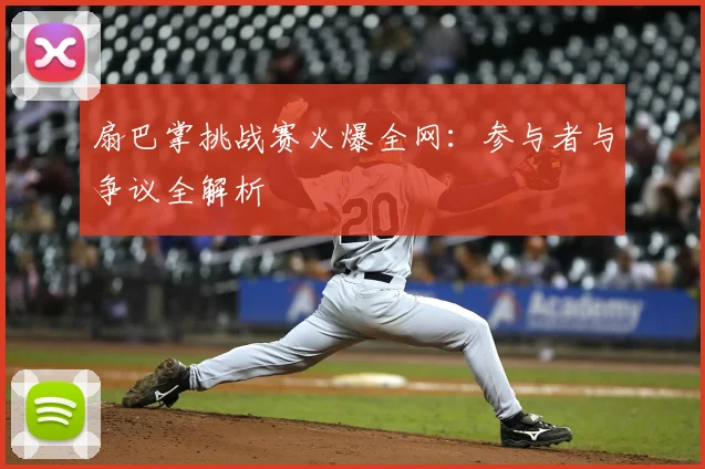 扇巴掌挑战赛火爆全网：参与者与争议全解析